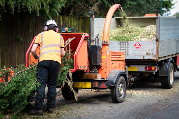 Organic Lawn Care Solutions in Spring Arbor, MI